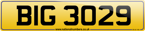 BIG 3029