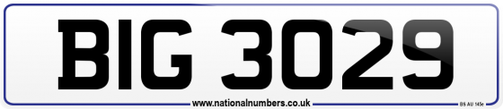 BIG 3029