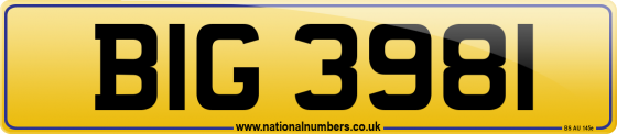 BIG 3981
