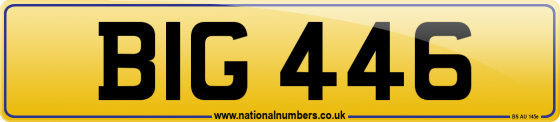 BIG 446