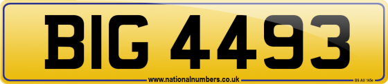 BIG 4493