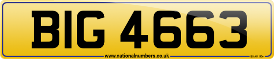 BIG 4663