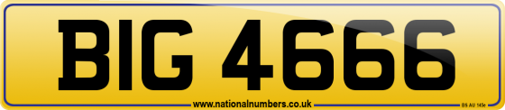 BIG 4666