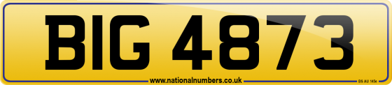 BIG 4873