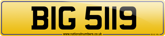 BIG 5119