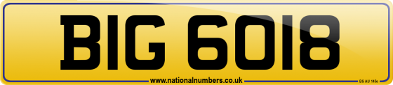 BIG 6018