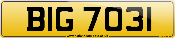 BIG 7031