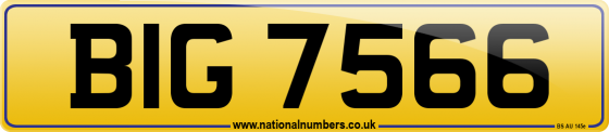 BIG 7566