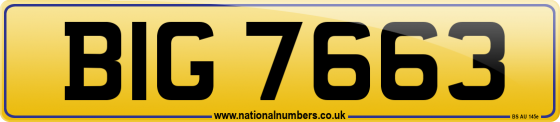 BIG 7663