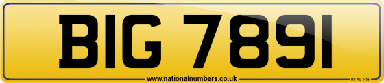 BIG 7891