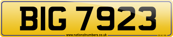 BIG 7923