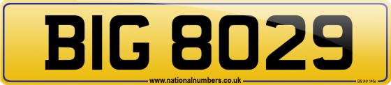 BIG 8029