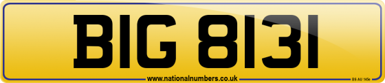 BIG 8131