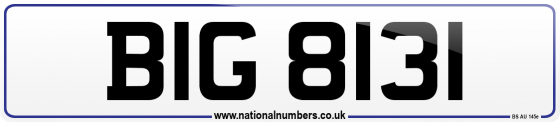 BIG 8131