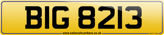BIG 8213