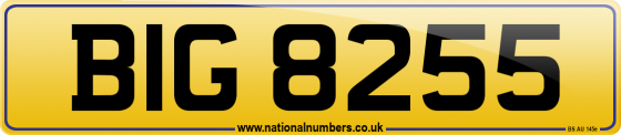 BIG 8255