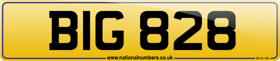 BIG 828