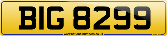BIG 8299