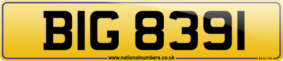 BIG 8391