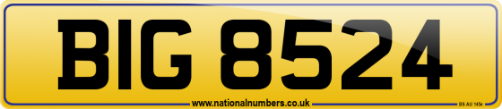 BIG 8524