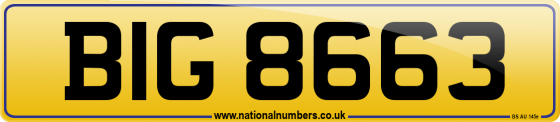 BIG 8663
