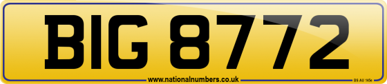 BIG 8772