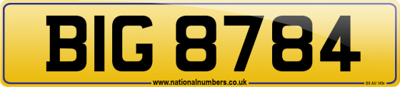 BIG 8784