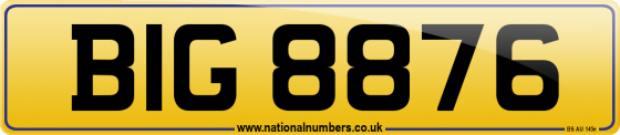 BIG 8876