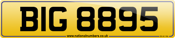 BIG 8895