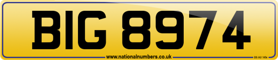 BIG 8974