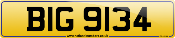 BIG 9134