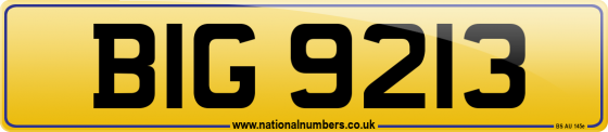 BIG 9213