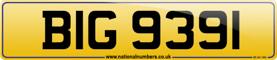 BIG 9391