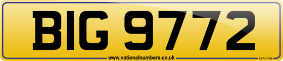 BIG 9772
