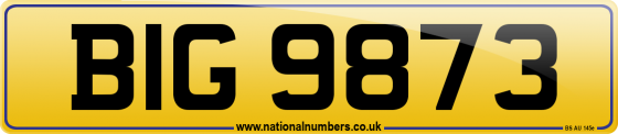 BIG 9873