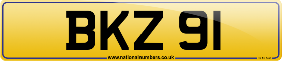BKZ 91