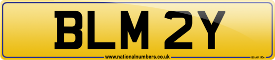 BLM 2Y