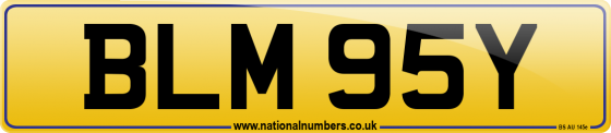 BLM 95Y