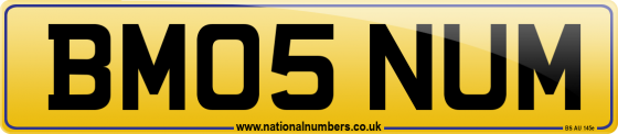 BM05 NUM