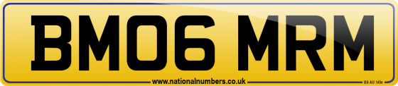 BM06 MRM