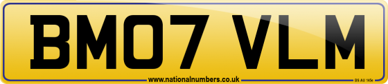BM07 VLM