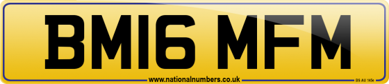 BM16 MFM