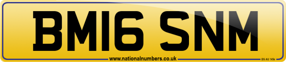 BM16 SNM