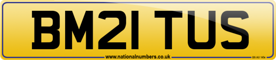 BM21 TUS