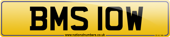 BMS 10W