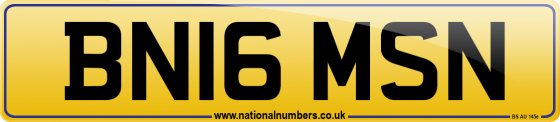 BN16 MSN