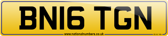 BN16 TGN