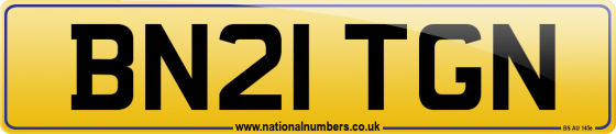 BN21 TGN