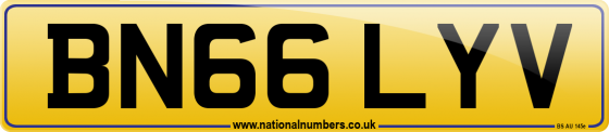 BN66 LYV