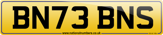 BN73 BNS